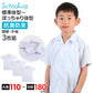 スクールシャツ 半袖 男子 開襟シャツ ホワイト 学生 フォーマル 無地 大きいサイズ 3枚組 110cmA～180cmB b体 B体 学生服 ワイシャツ 小学 中学 高校 学校 男の子 制服 夏服 シャツ 抗菌防臭 スクログ 110 120 130 140 150 160 170 180