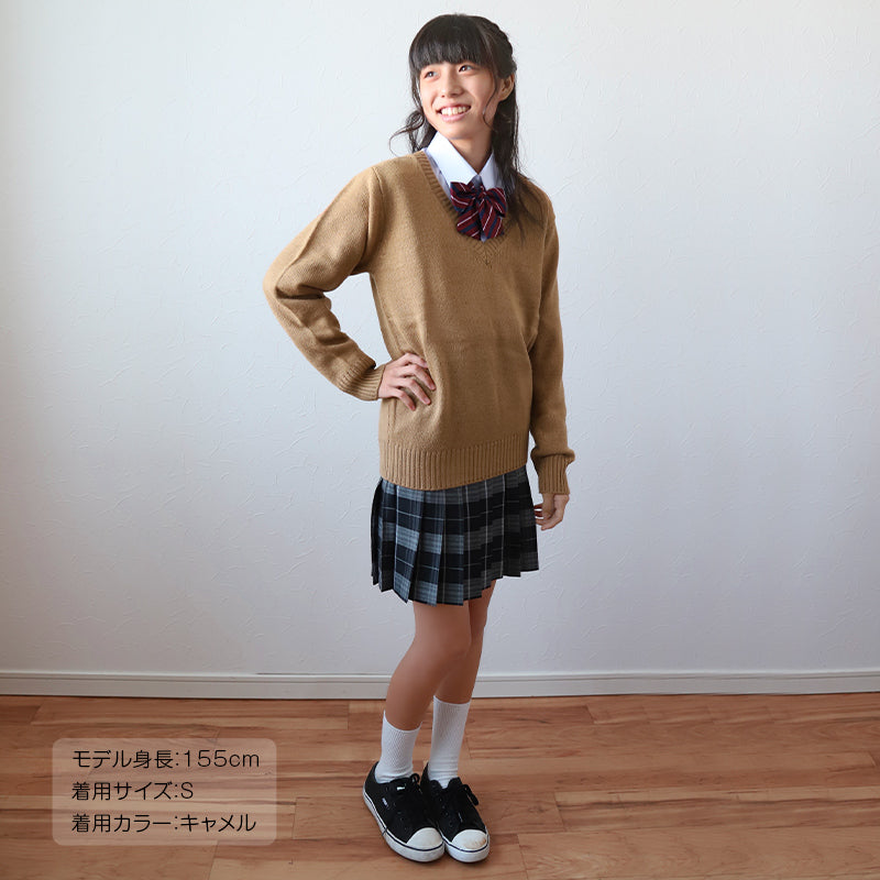スクールセーター 女子 高校生 制服 ニット セーター 学生 Vネック S～3L 洗える 中学生 ウール 学校 無地 紺 ベージュ 大きいサイズ 冬 秋 レディース スクール 女子高生 長袖 M L LL 3L (在庫限り)
