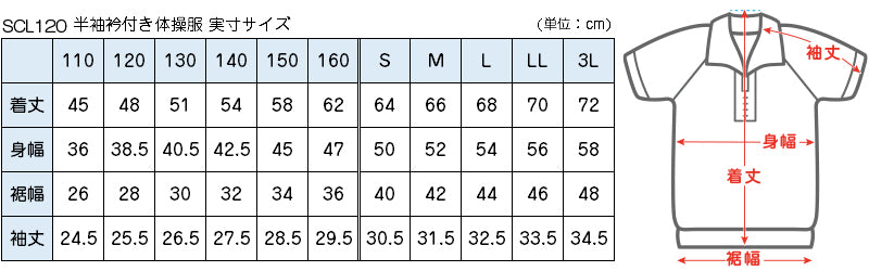 体操服 半袖 ドライ 衿付き 体操着 小学生 110～160cm (襟付き 白 小学校 女の子 男の子 速乾 子供 綿混 半そで キッズ 夏)