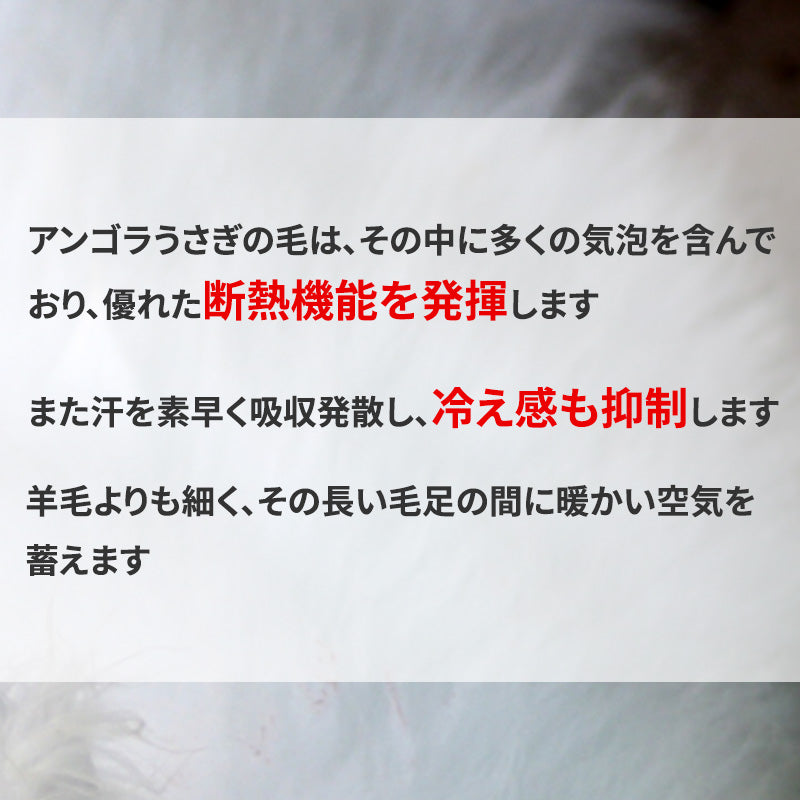 シニア 肌着 ズボン下 メンズ アンゴラ混 起毛 M～LL インナー ロングパンツ 長ズボン下 ズボン ももひき 紳士 肌着 軽い 軽量 防寒 冷え 対策 あったか あたたかい 冬 プレゼント ギフト