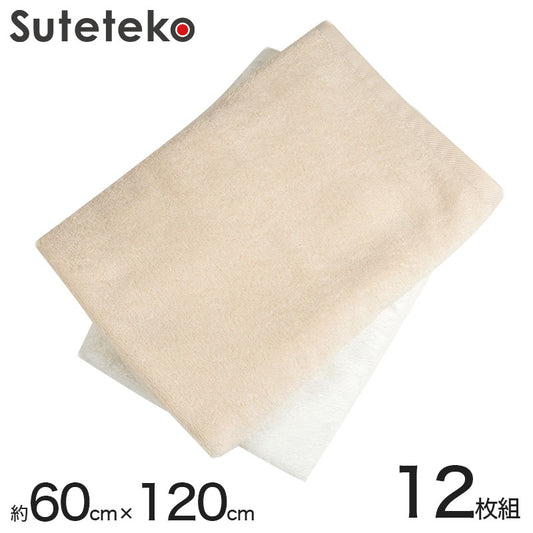 800匁 オーガニックコットンバスタオル 12枚組 約60cm×120cm (無地タオル 無農薬 コットン) (送料無料) (在庫限り)
