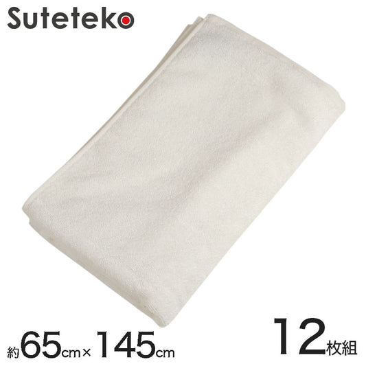 1200匁 竹繊維バスタオル 12枚組 約65×145cm (バスタオル パイル 吸水 速乾 まとめ買い) (送料無料) (在庫限り)