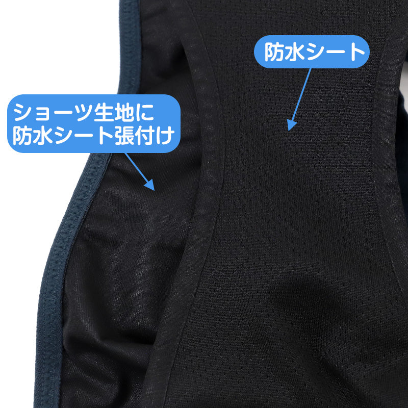 吸水ショーツ レディース サニタリーショーツ 昼用 約25cc オーガニックコットン 吸水 生理用ショーツ 吸水ショーツ 生理ショーツ 抗菌防臭 M L LL 漏れ対策 無地 女性 婦人 下着 インナー A mo～re shorts+ アッモーレ ショーツ サニタリー 生理用