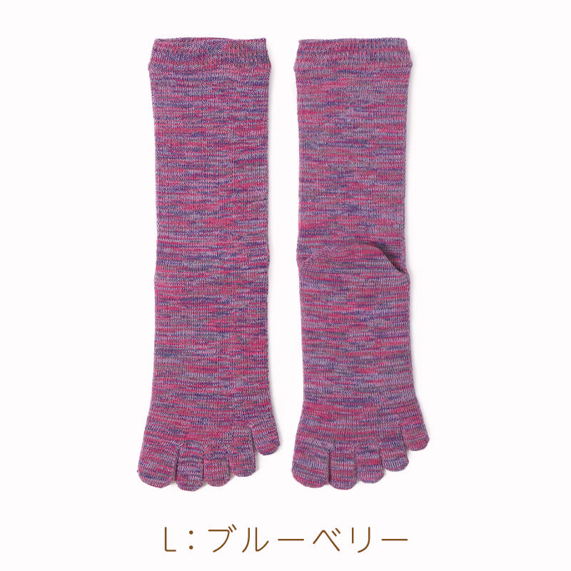 5本指ソックス レディース クルー丈 丈夫 抗菌防臭 23-25cm 日本製 五本指 靴下 汗 ニオイ 5本指靴下 ムレ 足 冷え対策 冷え取り スポーツ 仕事 おしゃれ かわいい 吸汗 しっかり 女性