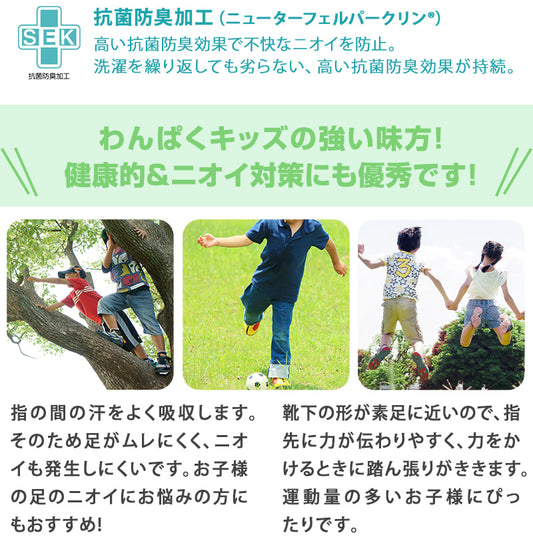 5本指靴下 子供 クルーソックス 16-18cm・19-21cm 五本指ソックス 5本指ソックス キッズ 男の子 女の子 クルー丈 日本製 無地 (在庫限り)
