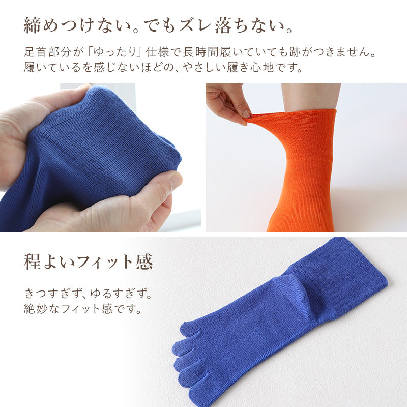 5本指ソックス レディース 綿 5本指靴下 五本指ソックス 足首 ゆったり 締め付けない 23-25cm 5本指 靴下 ソックス クルー丈 カラー カラフル おしゃれ かわいい コットン 日本製 秋冬 (在庫限り)