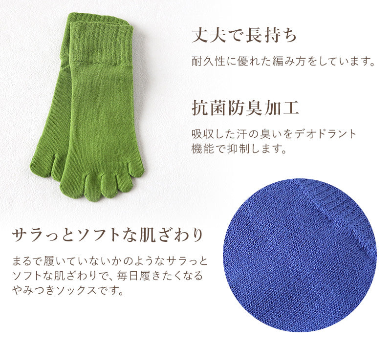 5本指ソックス レディース 綿 5本指靴下 五本指ソックス 足首 ゆったり 締め付けない 23-25cm 5本指 靴下 ソックス クルー丈 カラー カラフル おしゃれ かわいい コットン 日本製 秋冬 (在庫限り)