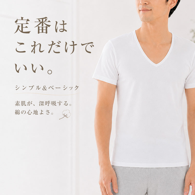 MAATEE&SONS 極COTTON VネックTシャツ ムコVサイズ3 MAATEE&SONS Ex