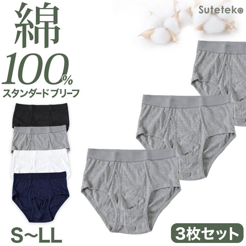ブリーフ メンズ 綿100% パンツ スタンダード 前開き 3枚セット S M L LL 下着 インナー ブリーフパンツ 肌着 紳士肌着 男性 紳士 パンツ 綿100％ コットン 3枚組 まとめ売り