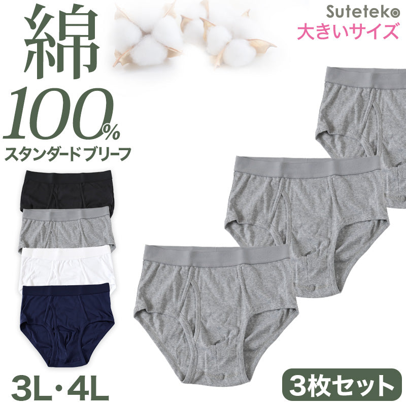 ブリーフ メンズ パンツ 綿100% スタンダード 前開き 3枚セット 3L 4L 大きいサイズ インナー ブリーフパンツ 下着 肌着 紳士肌着 男性 紳士 パンツ 綿100％ コットン 3枚組 まとめ売り