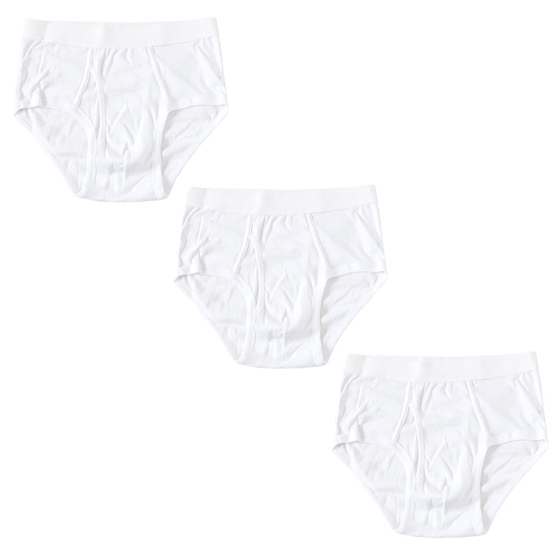 ブリーフ メンズ パンツ 綿100% スタンダード 前開き 3枚セット 3L 4L 大きいサイズ インナー ブリーフパンツ 下着 肌着 紳士肌着 男性 紳士 パンツ 綿100％ コットン 3枚組 まとめ売り