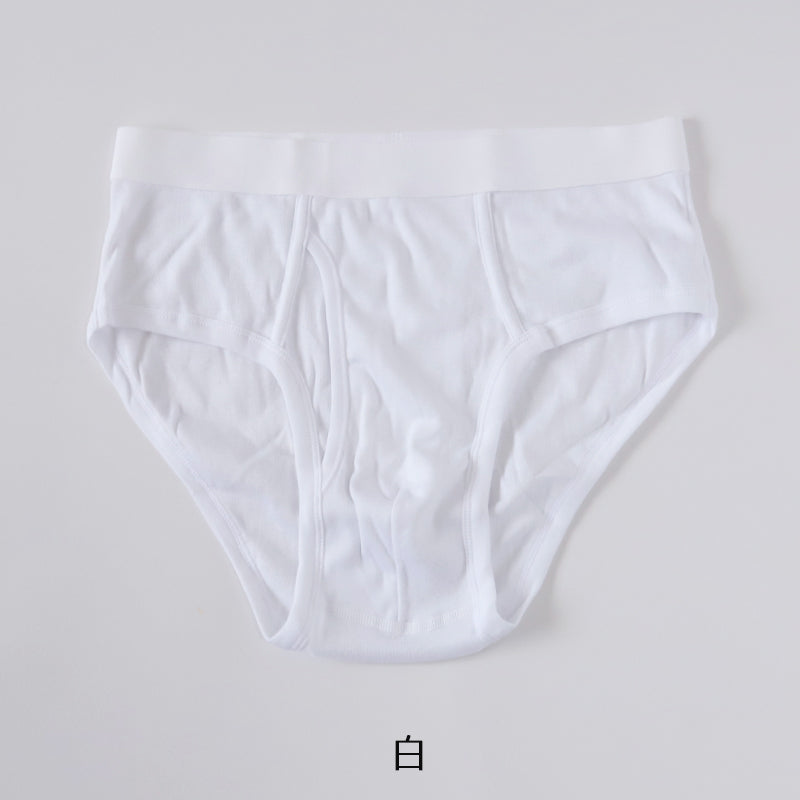 メンズ パンツ 綿100% セミビキニブリーフ 大きいサイズ 前開き 3L・4L 下着 ブリーフパンツ インナー 肌着 紳士肌着 男性 紳士 パンツ 綿100％ コットン 3L 4L