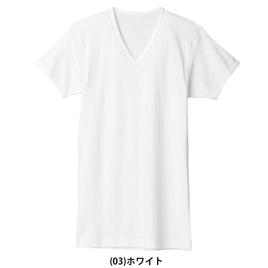 グンゼ 下着 メンズ インナーシャツ 半袖 綿100% vネック 肌着 2枚組 S～3L tシャツ 白 無地 インナー シャツ 紳士 男性 V首 アンダーウェア コットン 大きいサイズ