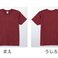 Tシャツ メンズ レディース 定番 無地 半袖 スタイリッシュ ブランド アメカジ スポーツ アウトドア かっこいい かわいい 赤 黄色 紫 プレゼント ギフト XS～3XL プリントスター 大人 男性 女性 男子 女子 XS M L XL 2XL 3XL 20代 30代 40代 50代 (取寄せ)