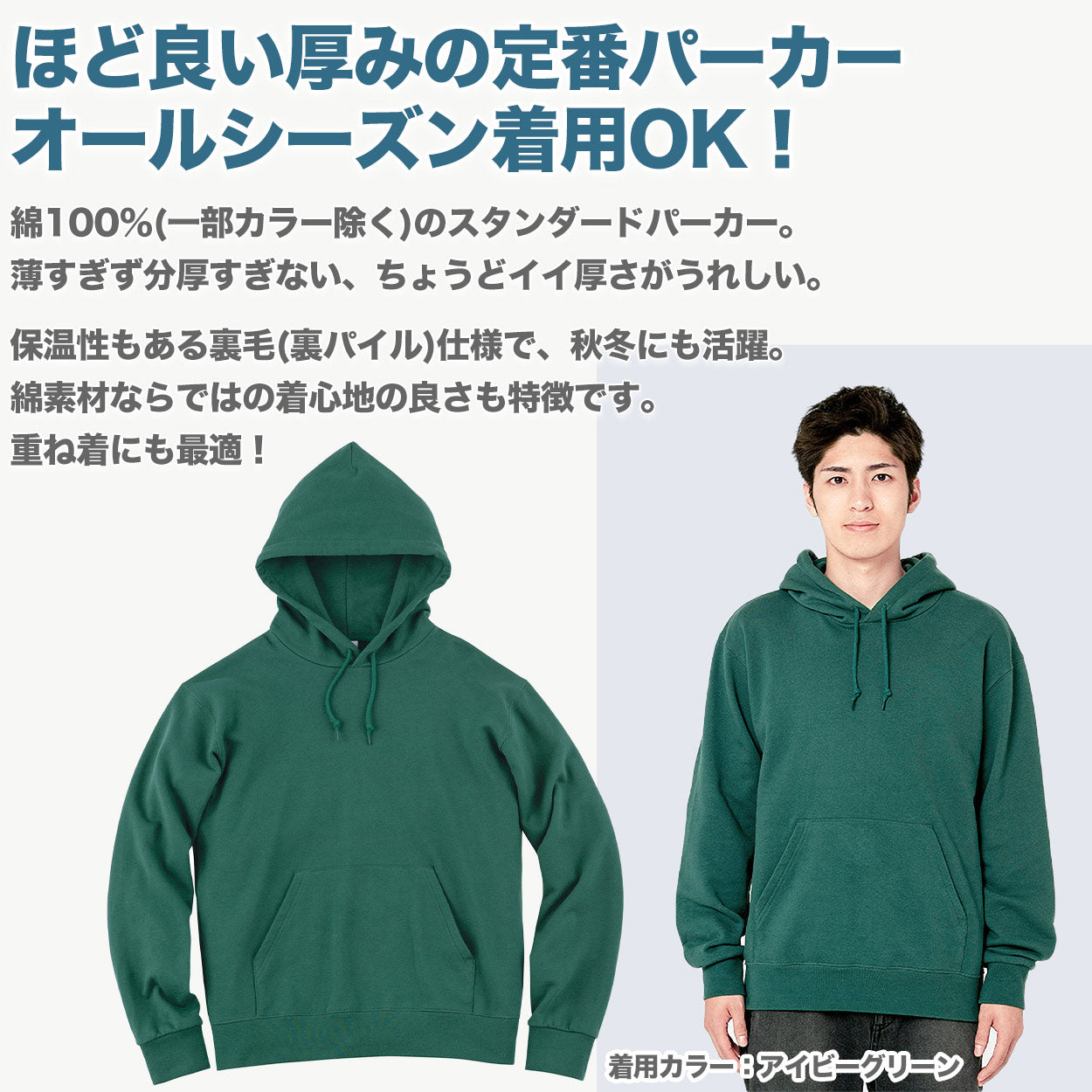 パーカー 無地 綿100％ フード付き フーディー 裏毛 裏パイル