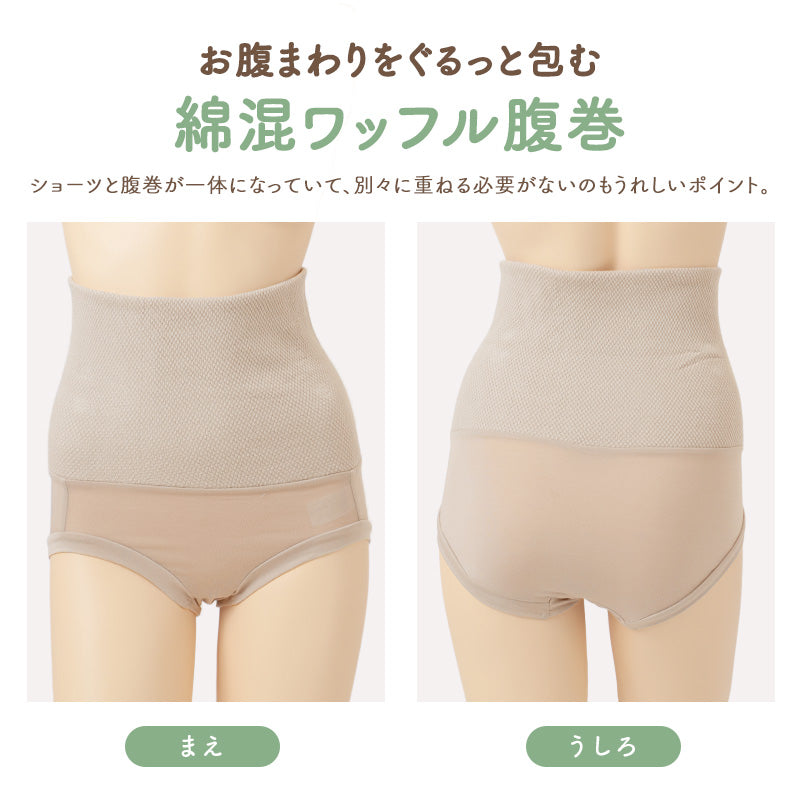腹巻付き ショーツ レディース 温活 ワッフル 綿混 腹巻パンツ お腹すっぽり ストレッチ 伸縮性 ホホバオイル 保湿加工 スタンダード 深ばき 深履き 下着 肌着 女性用 パンツ M L LL レディースショーツ 腹巻ショーツ ハラマキパンツ お腹まわり