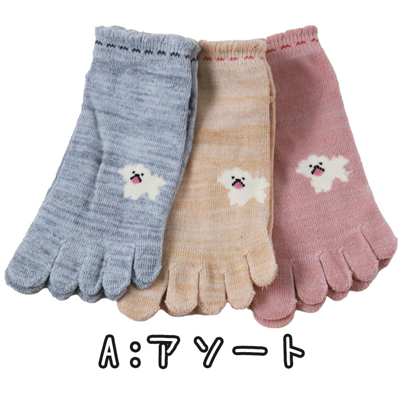 レディース 5本指ソックス スニーカー丈 靴下 3足組 つばき保湿 23-25cm 五本指ソックス くるぶし 女性 綿 3足セット くつ下 犬柄 インコ柄 鳥柄 水玉 かわいい (在庫限り)