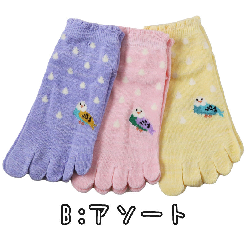 レディース 5本指ソックス スニーカー丈 靴下 3足組 つばき保湿 23-25cm 五本指ソックス くるぶし 女性 綿 3足セット くつ下 犬柄 インコ柄 鳥柄 水玉 かわいい (在庫限り)