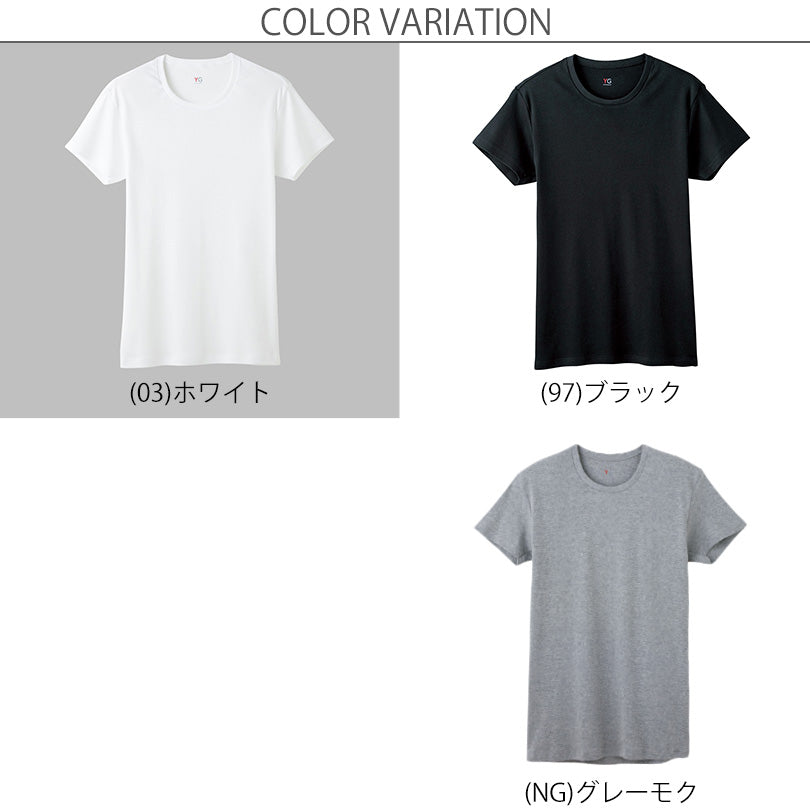 グンゼ YG tシャツ インナー メンズ 半袖 綿100% M～3L 男性 紳士 下着 肌着 抗菌 防臭 M L LL 3L 白 黒 グレー クルーネック 丸首 大きいサイズ