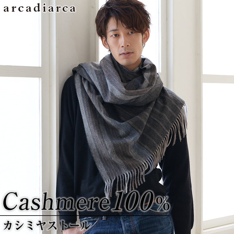 カシミヤ100% メンズ ストライプ柄ストール arcadiarca  フリーサイズ (カシミヤ カシミア マフラー ストール 大判ストール メンズ 紳士 男性 プレゼント) (送料無料) 【在庫限り】