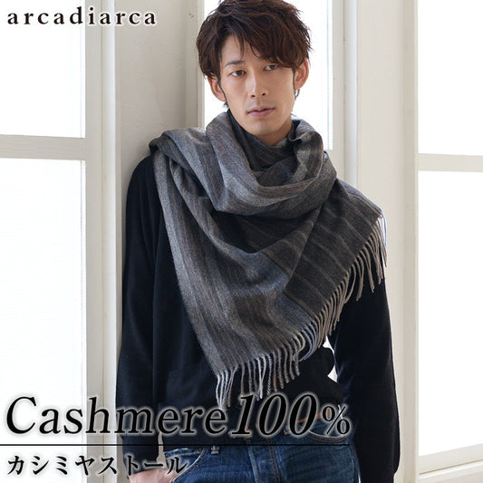 カシミヤ100% メンズ ストライプ柄ストール arcadiarca  フリーサイズ (カシミヤ カシミア マフラー ストール 大判ストール メンズ 紳士 男性 プレゼント) (送料無料) 【在庫限り】